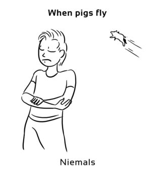 when-pigs-fly-englische-Redewendung-Sprichwörter