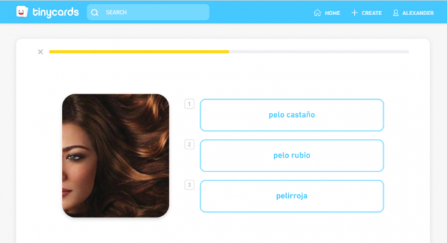 Flashcard-App-Vokabeltrainer-Tinycards-Duolingo
